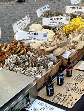 pexels-photo-28768627-28768627 Boost Your Brainpower: The Benefits of Lion's Mane Mushroom